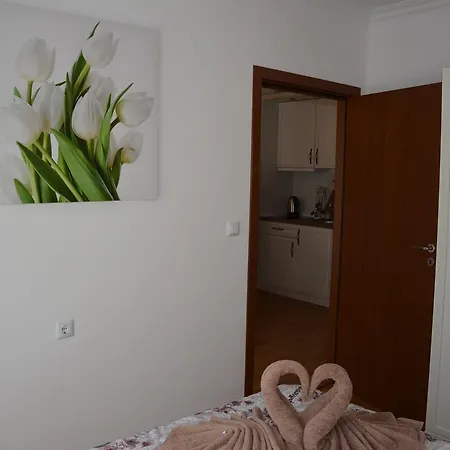 Sweet 4 Słoneczny Brzeg